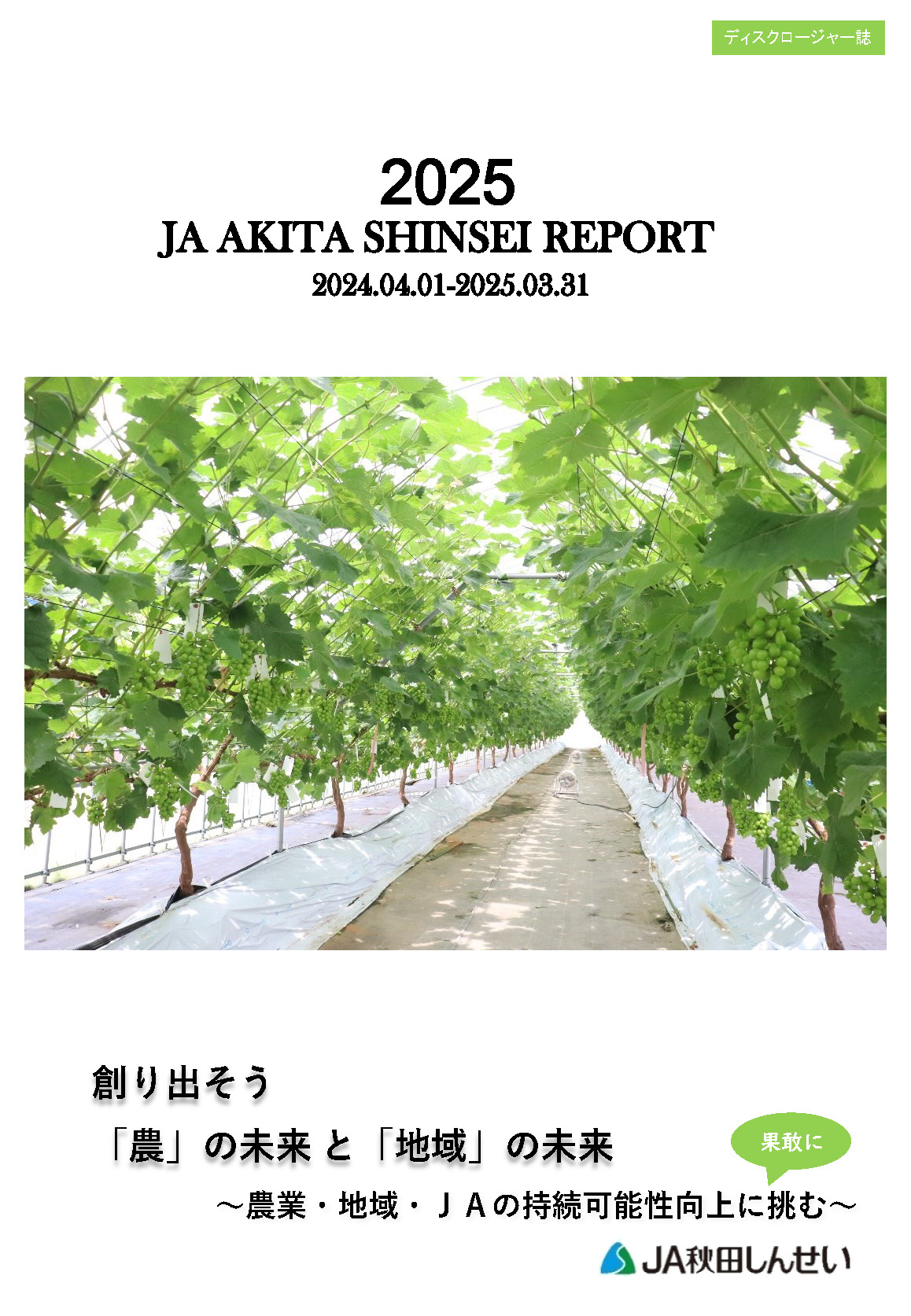 ディスクロージャー